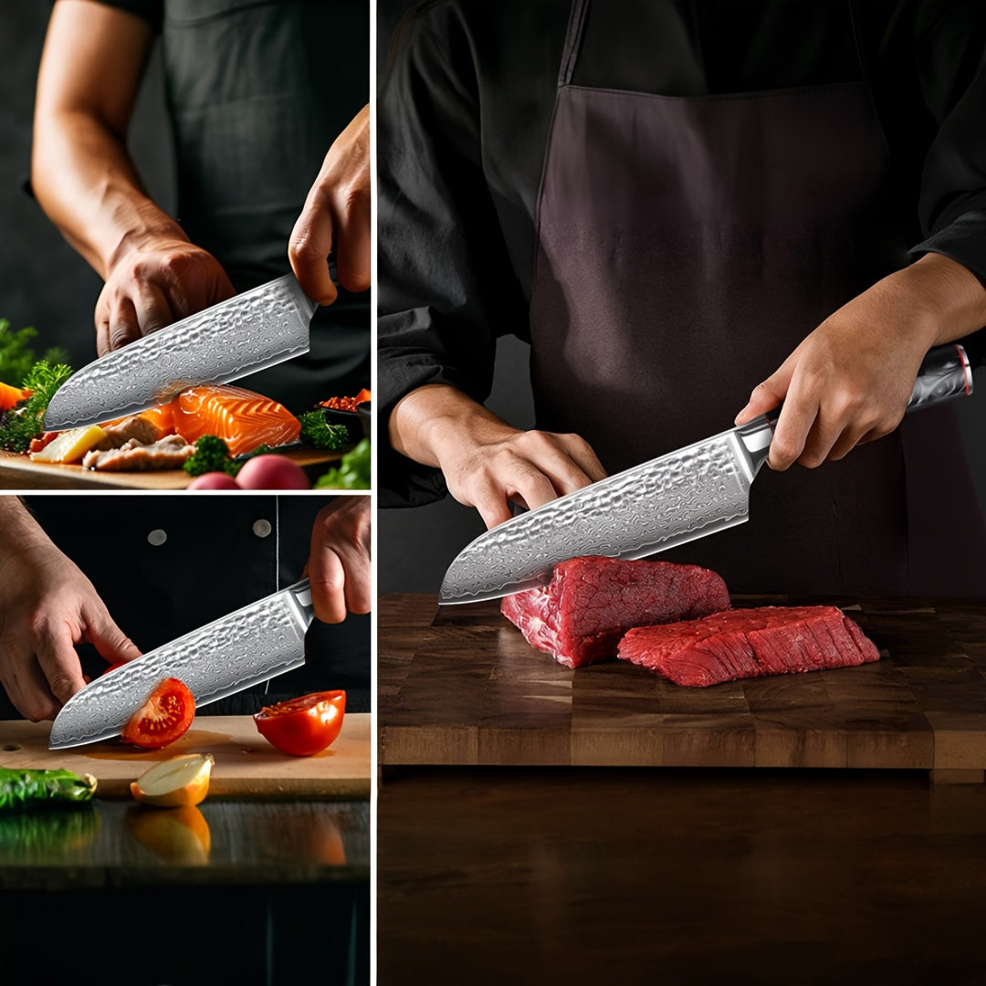 VG-10 Steel Core 67-Layer Damascus Santoku Knife | Professional Chef's Knife | Non-Slip Resin Handle All-Purpose Kitchen Knife + Gift Box
