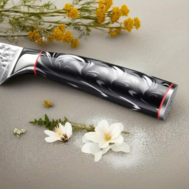 VG-10 Steel Core 67-Layer Damascus Santoku Knife | Professional Chef's Knife | Non-Slip Resin Handle All-Purpose Kitchen Knife + Gift Box