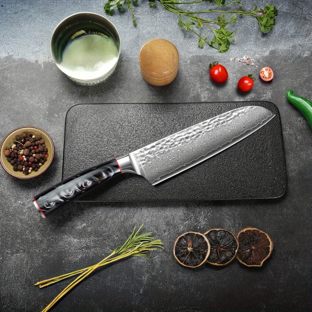 VG-10 Steel Core 67-Layer Damascus Santoku Knife | Professional Chef's Knife | Non-Slip Resin Handle All-Purpose Kitchen Knife + Gift Box