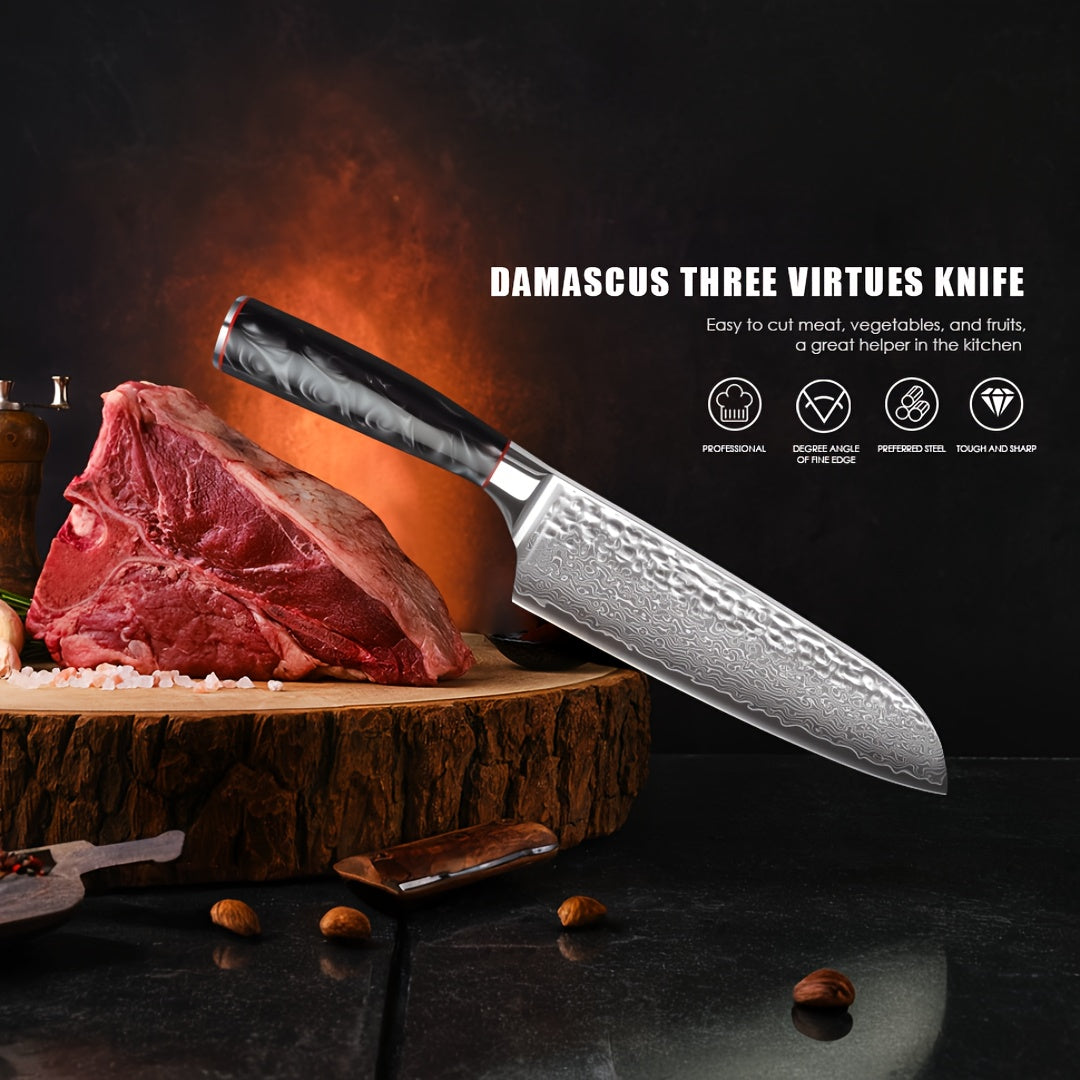 VG-10 Steel Core 67-Layer Damascus Santoku Knife | Professional Chef's Knife | Non-Slip Resin Handle All-Purpose Kitchen Knife + Gift Box